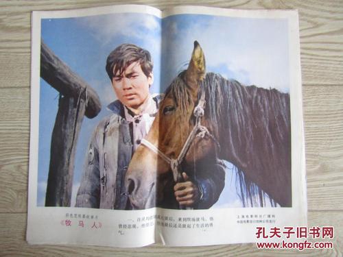 大塚女子大学市场开发文凭证书
